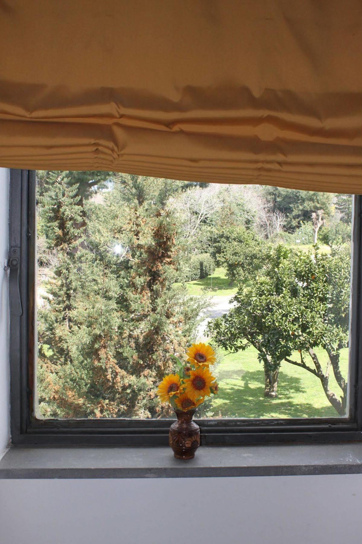 Flegrea House Aparthotel ปอซซุออลี ภายนอก รูปภาพ